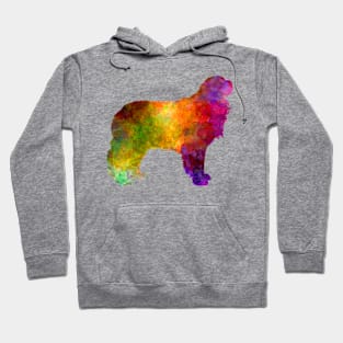 Pyrenean Mastiff in watercolor Hoodie